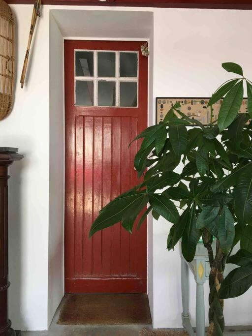 Appartement En Rez De Jardin Ciboure Ngoại thất bức ảnh